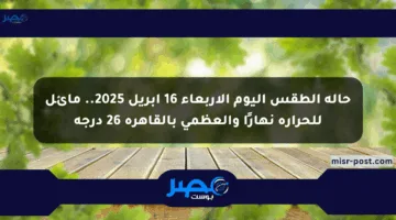 حالة الطقس اليوم الأربعاء 16 أبريل 2025.. مائل للحرارة نهارًا والعظمى بالقاهرة 26 درجة